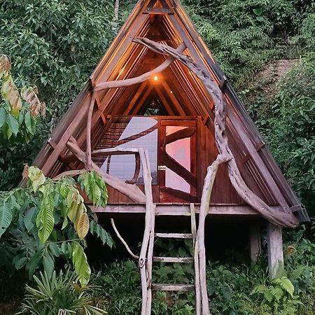 Hotel Jungle Roots Tena Esterno foto