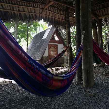 Hotel Jungle Roots Tena Esterno foto