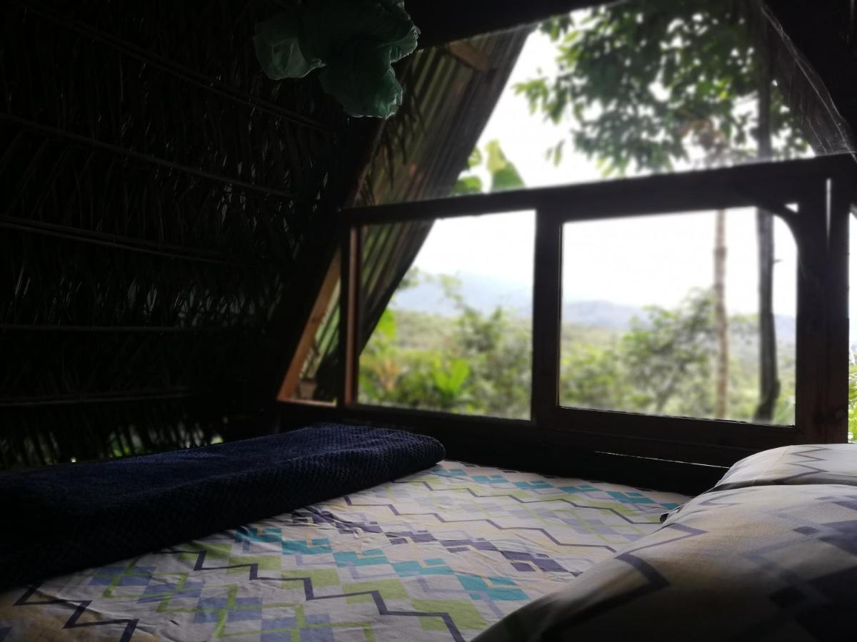 Hotel Jungle Roots Tena Esterno foto