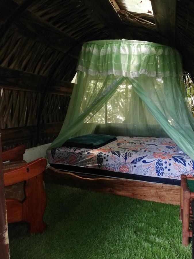 Hotel Jungle Roots Tena Esterno foto