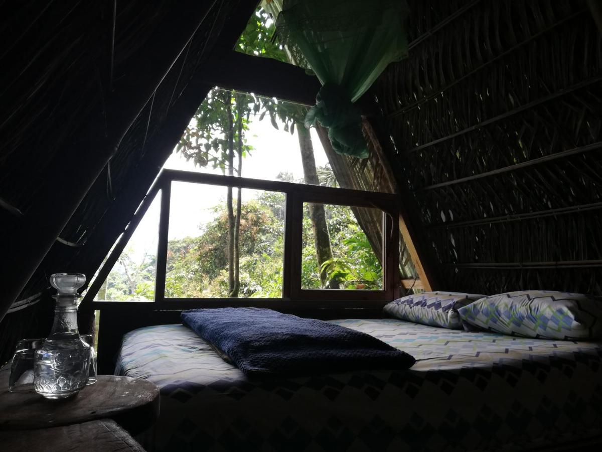Hotel Jungle Roots Tena Esterno foto