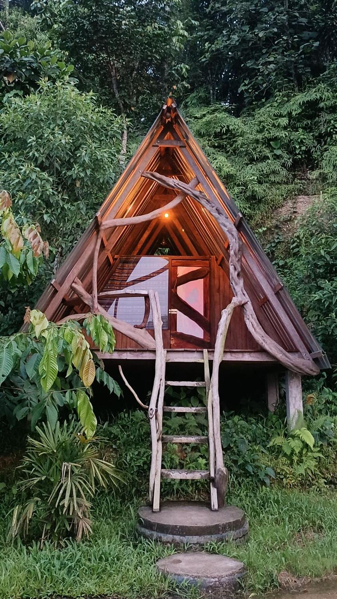 Hotel Jungle Roots Tena Esterno foto