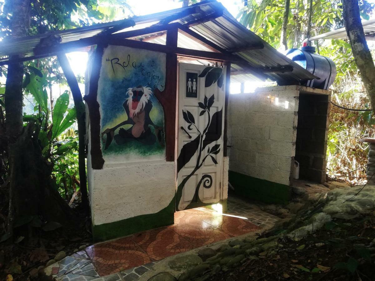 Hotel Jungle Roots Tena Esterno foto