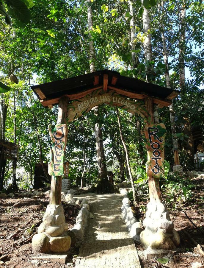 Hotel Jungle Roots Tena Esterno foto