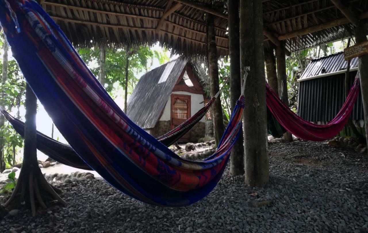 Hotel Jungle Roots Tena Esterno foto