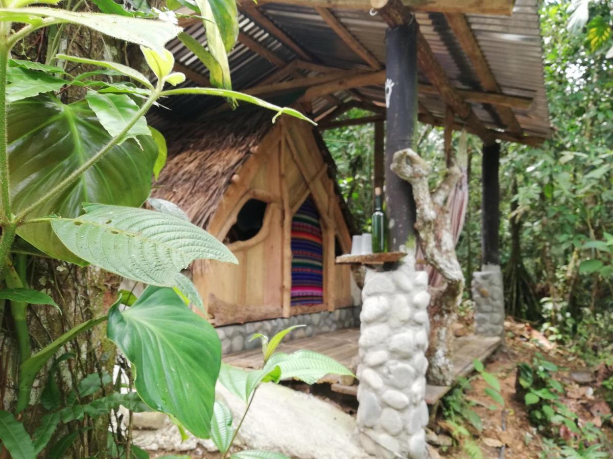 Hotel Jungle Roots Tena Esterno foto